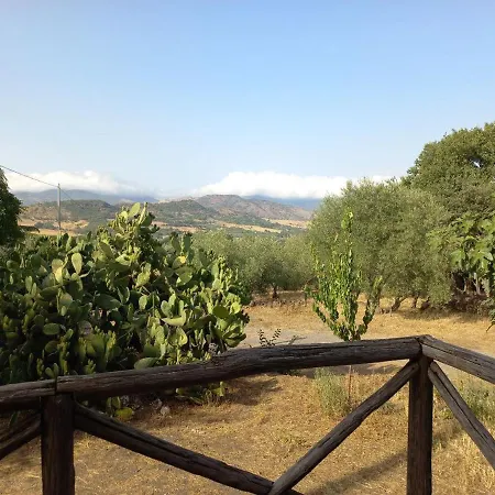 La Casa Di Bacco - Etna - Affitto Breve