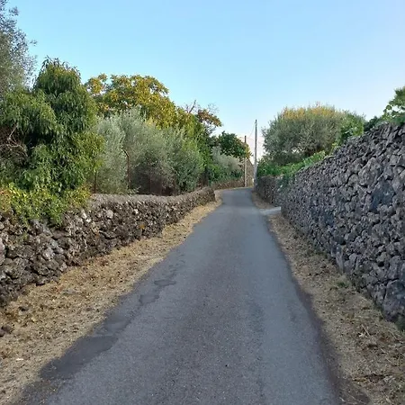 La Casa Di Bacco - Etna - Affitto Breve