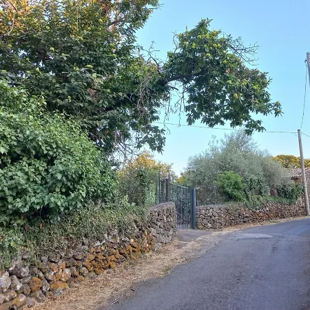 La Casa Di Bacco - Etna - Affitto Breve