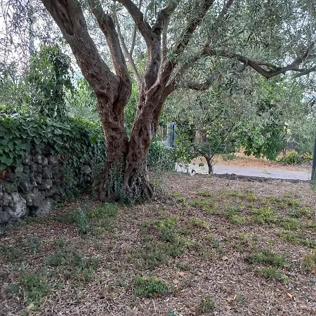 La Casa Di Bacco - Etna - Affitto Breve Hébergement de vacances Castiglione De Sicilia